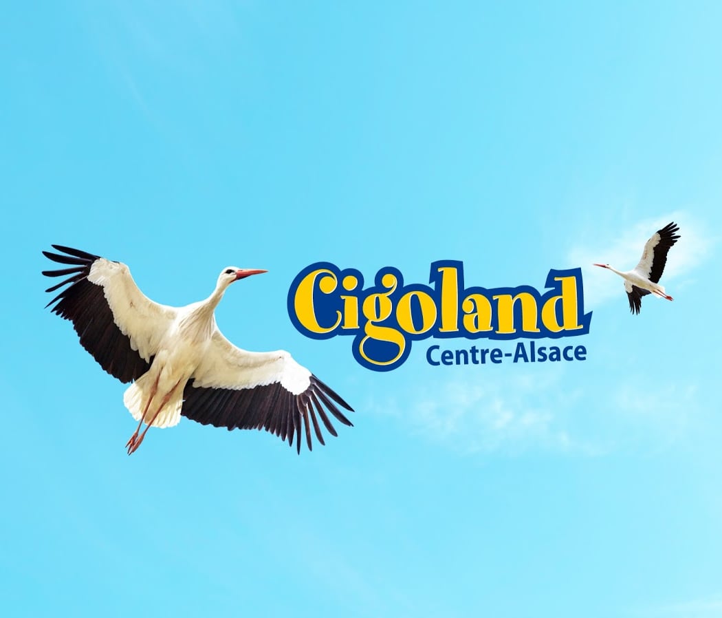 Cigoland Amusement and recreation 2